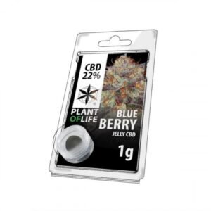 Blueberry Jelly Hash CBD 1G